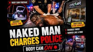 Thumbnail: Police Respond to a Domestic Call... Then They Notice a Gun