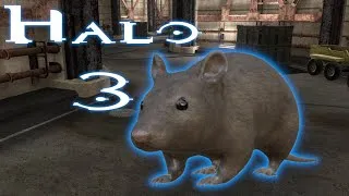 Thumbnail: The Halo 3: Anniversary Rat | Atlas