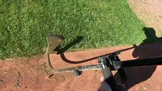 Thumbnail: POV Lawn Mowing – Perfect Cut Through 6" Winter Grass | TORO Recycler 🌿