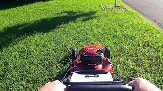 Thumbnail: POV Lawn Mowing - TORO versus 10" Long Winter Grass | Random Mowing Pattern 🌿