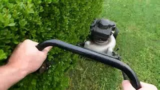 Thumbnail: POV Lawn Mowing – MASPORT Mower vs Super Spongy Grass 🌱 Can Mulching Save This Overgrown Lawn?