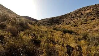 Thumbnail: Slow TV - A Hot Afternoon Walk in the Spanish Campo