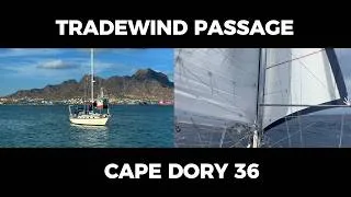 Thumbnail: Solo Sailing the Atlantic: Africa to Caribbean
