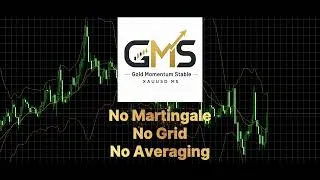Thumbnail: Gold Momentum Stable EA Released on MQL5 Market | Gold EA / XAUUSD / MT5