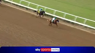 Thumbnail: Remember the name! | Flightline colt INSHALLAH strikes on debut at Del Mar