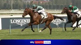 Thumbnail: Baroud wins the Prix Guillaume d'Ornano! | The son of Frankel makes giant strides at Deauville!