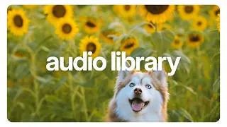 Thumbnail: Happy Tropical Pop Music for Summer Vlogs 🌻 (No Copyright) | Sakura Girl - Sunflower