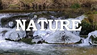 Thumbnail: Relaxing Natural River Sounds 4hr for sleep, morning, work, study and meditation
