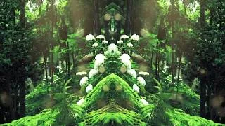 Thumbnail: Audiowok - Forest