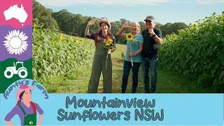 Thumbnail: 🌻🚜 Aunty Visits Mountainview Sunflowers!