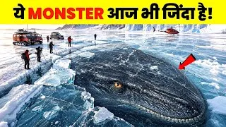 Thumbnail: 5 Ancient Giants That Still Alive in Oceans | Aurio