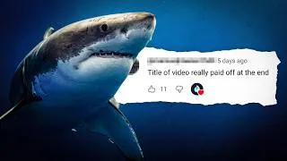 Thumbnail: These Are The Sharks To Worry About