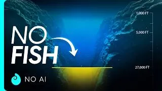 Thumbnail: Why the Mariana Trench Gets Weirder the Deeper You Go