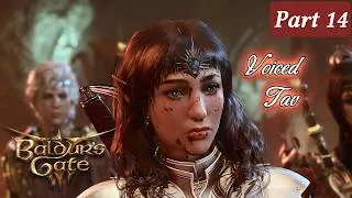 Thumbnail: A Baldur's Gate 3 Movie ► Part 14 | Fully Voiced Tav