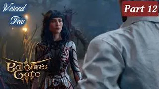 Thumbnail: A Baldur's Gate 3 Movie ► Part 12 | Fully Voiced Tav