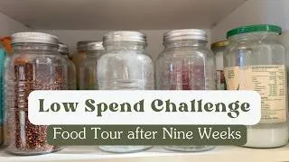 Thumbnail: LOW SPEND CHALLENGE - Fridge, Freezer, Pantry Tour