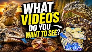 Thumbnail: What should we film? - Video Ideas!