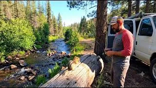 Thumbnail: Van Life in Greer, Arizona | Windy Camp, Van Repairs & Amazing Food!