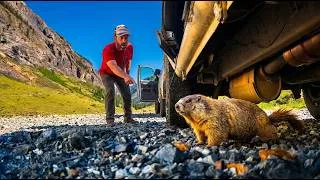 Thumbnail: The Day After My Crash... Time to Leave Colorado | Van Life USA