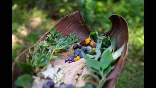 Thumbnail: Royal Botanic Garden Sydney | Short Clip| Discover Aboriginal Experiences | Tourism Australia