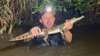 Thumbnail: Loose Crocodile CAUGHT in Newcastle | Australian Reptile Park
