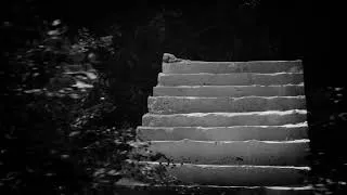 Thumbnail: The Stairs in the Woods