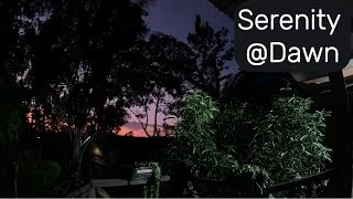 Thumbnail: 5am Dawn Meditation in Rural Kenya Roosters, Crickets, & Bird Songs #meditation #peace #tranquility