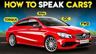Thumbnail: This is EVERYTHING YOU NEED to Know About CARS!