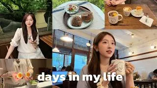 Thumbnail: LIVING ALONE DIARIES 晨间骑行 上海最爱的恰巴塔 做香蕉磅蛋糕 夏日解暑豆浆瓜丝 治愈独居日