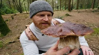 Thumbnail: I Trusted AI in the Forest—Then This Turned Up 🍄