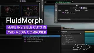 Thumbnail: Create Invisible Cuts with FluidMorph in Media Composer