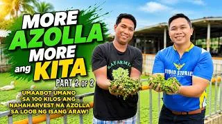 Thumbnail: AMAZING AZOLLA FARMING: EX-FACTORY WORKER AIMS TO PRODUCE MORE AZOLLA FOR HIS FARM AND TO EARN MORE