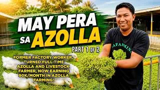 Thumbnail: AMAZING AZOLLA FARMING: EX-FACTORY WORKER, TURNED FULL-TIME AZOLLA FARMER, NOW EARNING 90K PER MONTH