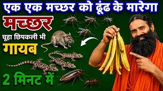 Thumbnail: एक-एक मच्छर को ढूंढकर मारेगा 😱 | चूहा, छिपकली, कॉकरोच भी गायब | 2 मिनट का देसी नुस्खा