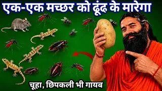Thumbnail: रात में सिर्फ 1 एक आलू का कमाल! मच्छर, कॉकरोच, चूहा और छिपकली दूर रखने का घरेलू उपाय/Home remedy