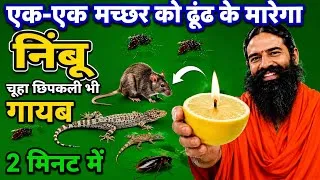 Thumbnail: रात में सिर्फ 1 नींबू जलाओ! मच्छर, कॉकरोच, चूहा और छिपकली दूर रखने का घरेलू उपाय/Home remedy 