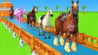 Thumbnail: Paint Animals Horse and RedHorse Size Comparison Fountain Crossing Animal Game Transformation