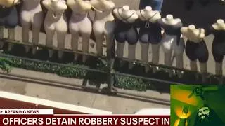 Thumbnail: Suspects Attempt to Evade Police With Alternate Costumes | The ATP Chase Companion