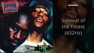Thumbnail: Mobb Deep - Survival of the Fittest (432Hz)