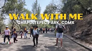 Thumbnail: mexico city walking tour | chapultepec park castle, zoo, botanical garden