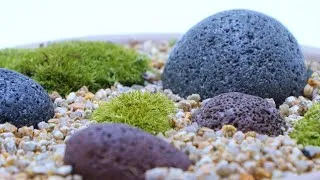 Thumbnail: [How It's Made] How to Make My Own Miniature Garden 🪴