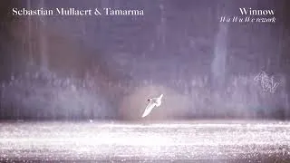 Thumbnail: Sebastian Mullaert & Tamarma - Winnow (Wa-Wu-We Rework)