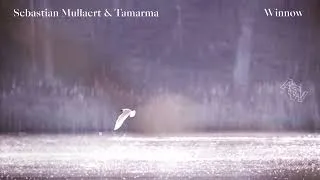 Thumbnail: Sebastian Mullaert and Tamarma - Winnow