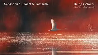Thumbnail: Sebastian Mulleart & Tamarma - Being Colours (Sebastian Mullaert Rework)