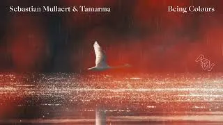 Thumbnail: Sebastian Mullaert & Tamarma - Being Colours