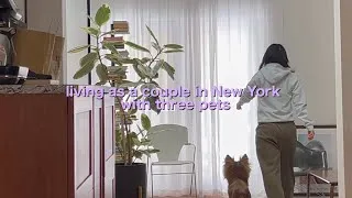 Thumbnail: Living as a couple in New York + 3 pets | Shoveling snow, eating out, and food that’s too good to go