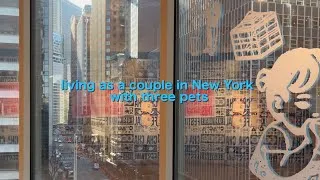 Thumbnail: Living as a couple in New York + 3 pets | Collecting a rock, seeing art, trying and making new food