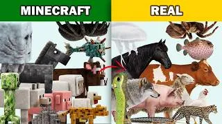 Thumbnail: Classic Minecraft Animals and Real World Animals Lookalike Compared