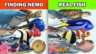 Thumbnail: Finding Nemo Characters vs Real World Fishes Compared