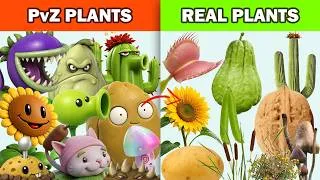 Thumbnail: PvZ Plants vs Real World Plants Compared
